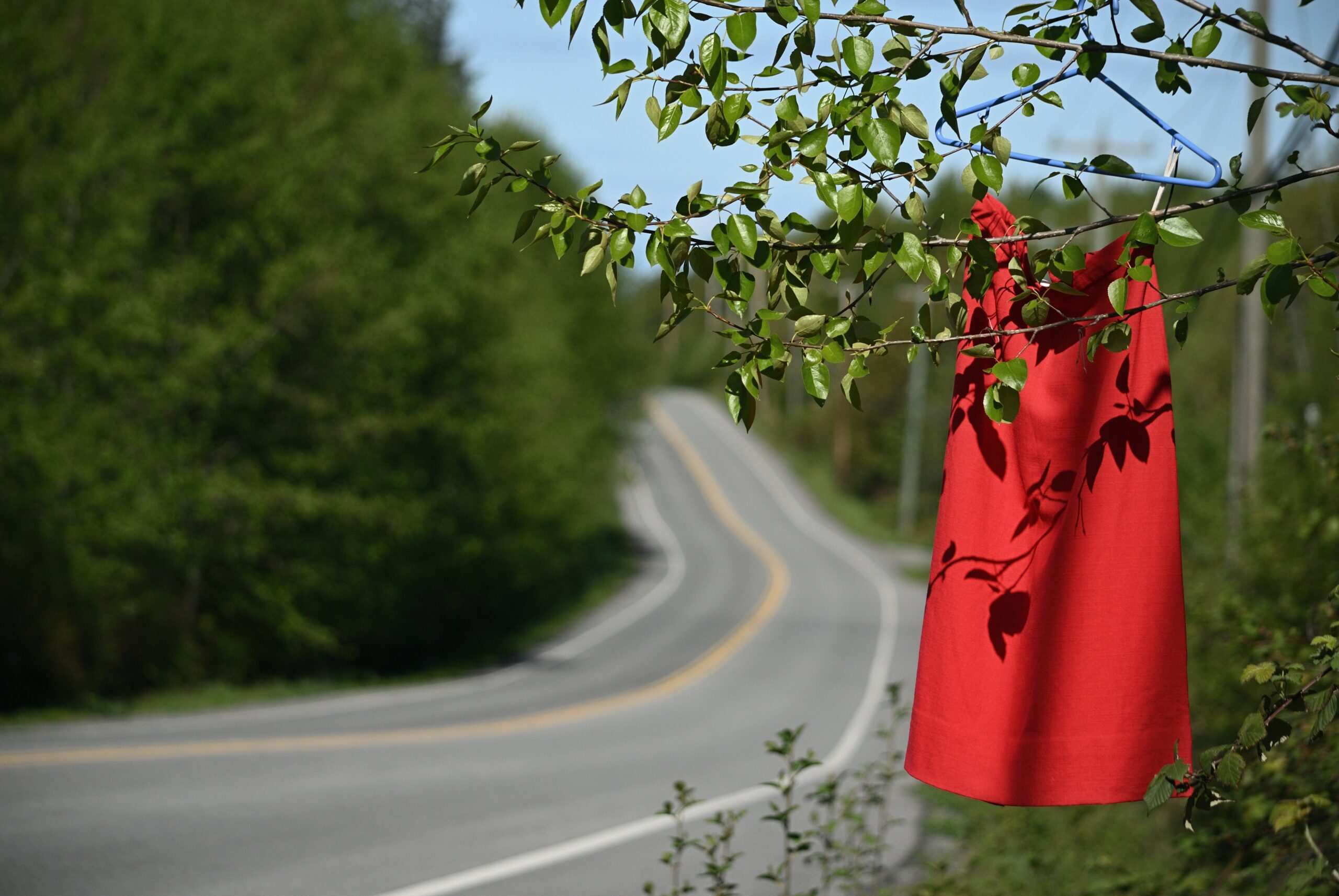 A red dress hangs from a tree branch surrounded by green leaves, symbolizing the lives of Missing and Murdered Indigenous Women, Girls, and 2SLGBTQI+ people.